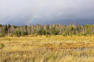 Autumn storm with rainbow in moor landscape