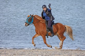 Female rider with Icelandic horse