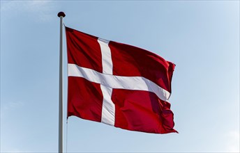 The Danish flag