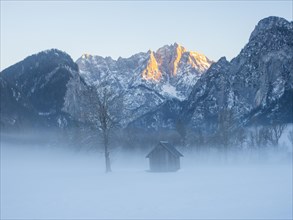 Winter landscape in the fog