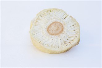 Macro photography of slice jackfruit (Artocarpus heterophyllus)