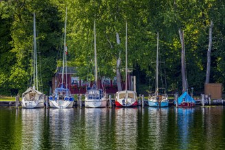 Sailing boats on the shore of Lake Schwielow near Werder