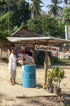 Thai woman operates rural simple petrol station with large gasoline barrel for gasoline on remote country road