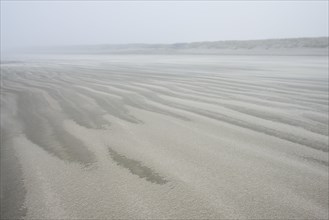 Fog and drifting sand on the beach
