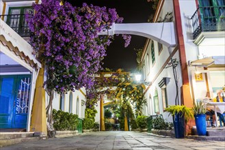 Charming blooming flowers on narrow streets of Puerto de Mogan