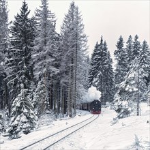 Brockenbahn in snowy forest