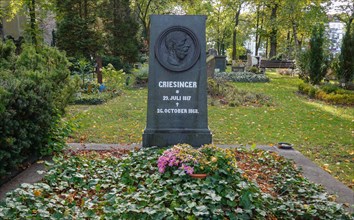 Grave Wilhelm Griesinger