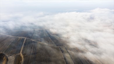 Winter landscape with fog