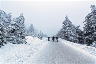 Cyclists and hikers on the snow-covered Brocken Road