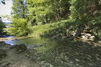 Spring basin of the Echaz