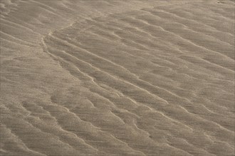 Sand with ripples
