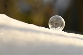 Frozen soap bubble in the snow