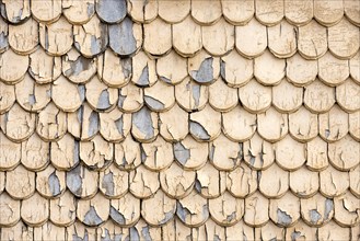 pattern of old wooden shingles with peeling paint