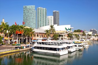 Skyline von Miami mit Hafen