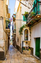 Old town alleys of Vieste