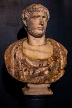 Antique Male Portrait Bust