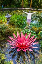 Andre Heller Botanical Garden with artworks by international artists