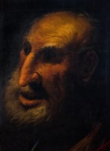 Pietro delle Veccia: Character Head