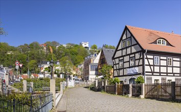 Historic development with villas and half-timbered houses on Friedrich-Wieck-Strasse in Loschwitz
