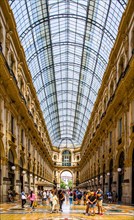 Galleria Vittorio Emanuele conorhynchos (1877) built