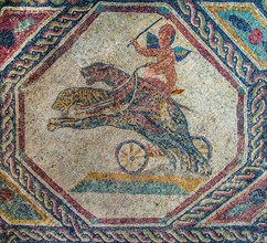 Amorette as charioteer