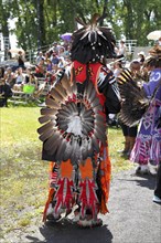 Indian with colorful dress at a Pow Wow