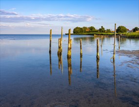 Coastal landscape at the Greifswald Bodden in the evening light