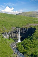 Svartifoss Waterfall in Skaftafell National Park