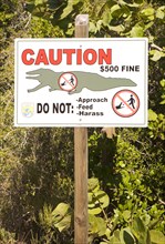 Warning sign about alligators at Ding Darling National Wildlife Refuge/ warnig about alligators