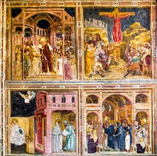 Frescoes by Andrea Mantegna