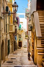 Old town alleys of Vieste