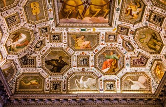 Bartolomeo Ridofi: Ceiling painting Room of the Fermament