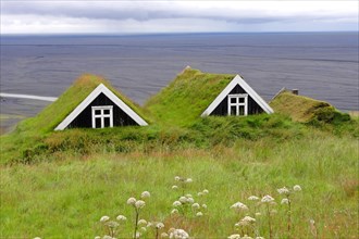 Grass sod houses in Skaftafell National Park