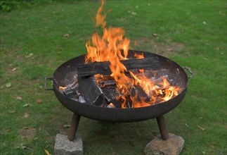 Fire bowl with burning wood fire