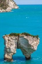 Fantastic limestone cliffs