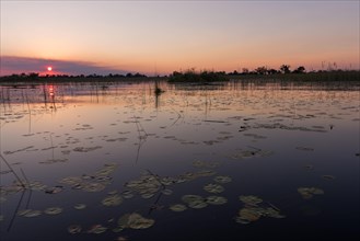 Sunset over the waterscape of the Okavango Delta