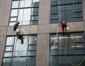 Two window cleaners abseil down a skyscraper