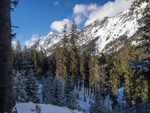 Winter landscape