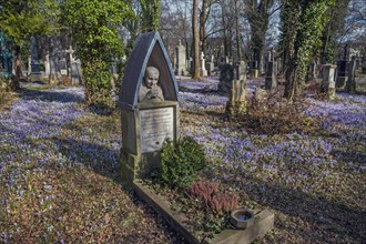 South cemetery with a caretaker's grave and crocuses