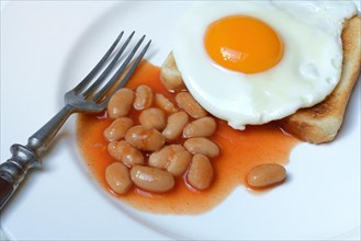 White beans with tomato sauce and fried egg on toast