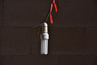 Energy-saving light bulb hangs on rope