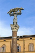 Column with Corinthian column capital on forecourt of Siena Cathedral with Capitoline she-wolf suckling brothers Romus and Remulus
