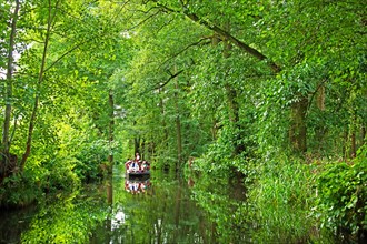 Tourists in a typical barge