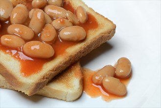 White beans with tomato sauce on toast