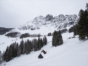 Winter landscape with alpine huts in front of snow-covered Bosruck massif
