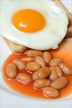 White beans with tomato sauce and fried egg on toast