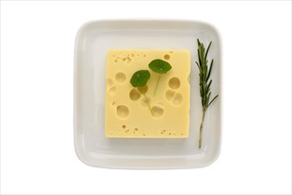 Emmental cheese on a plate with herbs