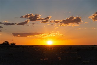 Sunset in the Central Kalahari Game Reserve