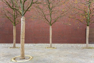 Brick facade with trees Museum Kueppersmuehle