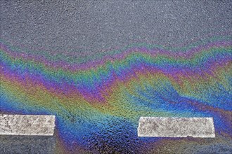 Environmentally harmful traces of oil on an asphalt road